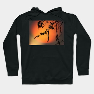 Sunset... Hoodie